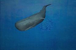 sperm_whale_1s